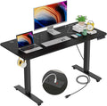Standing Desk Electric Adjustable Height 48 x 24 in - 4 Preset Memory