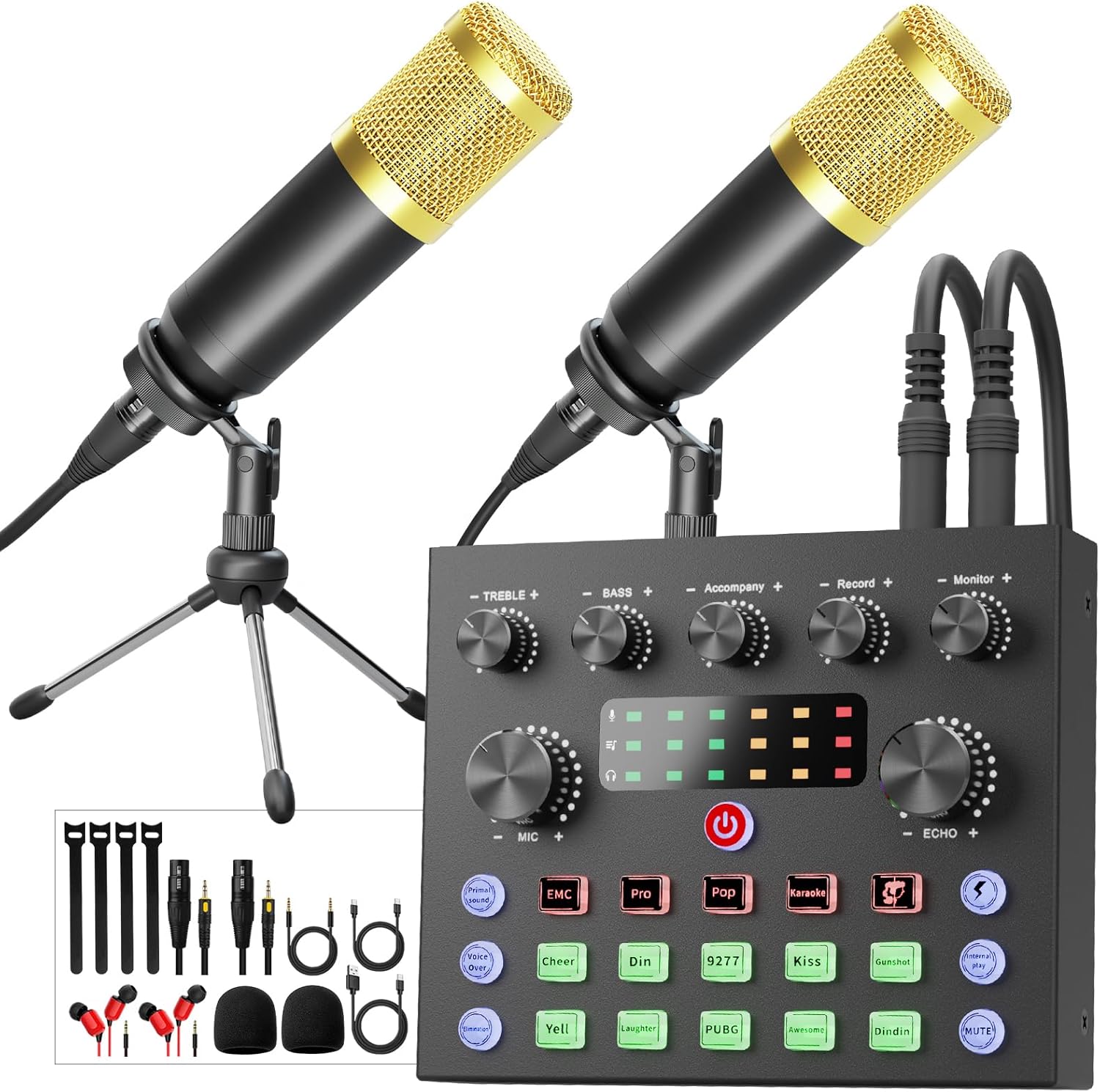 Podcast Equipment Bundle for 2 with Audio Interface and Mics