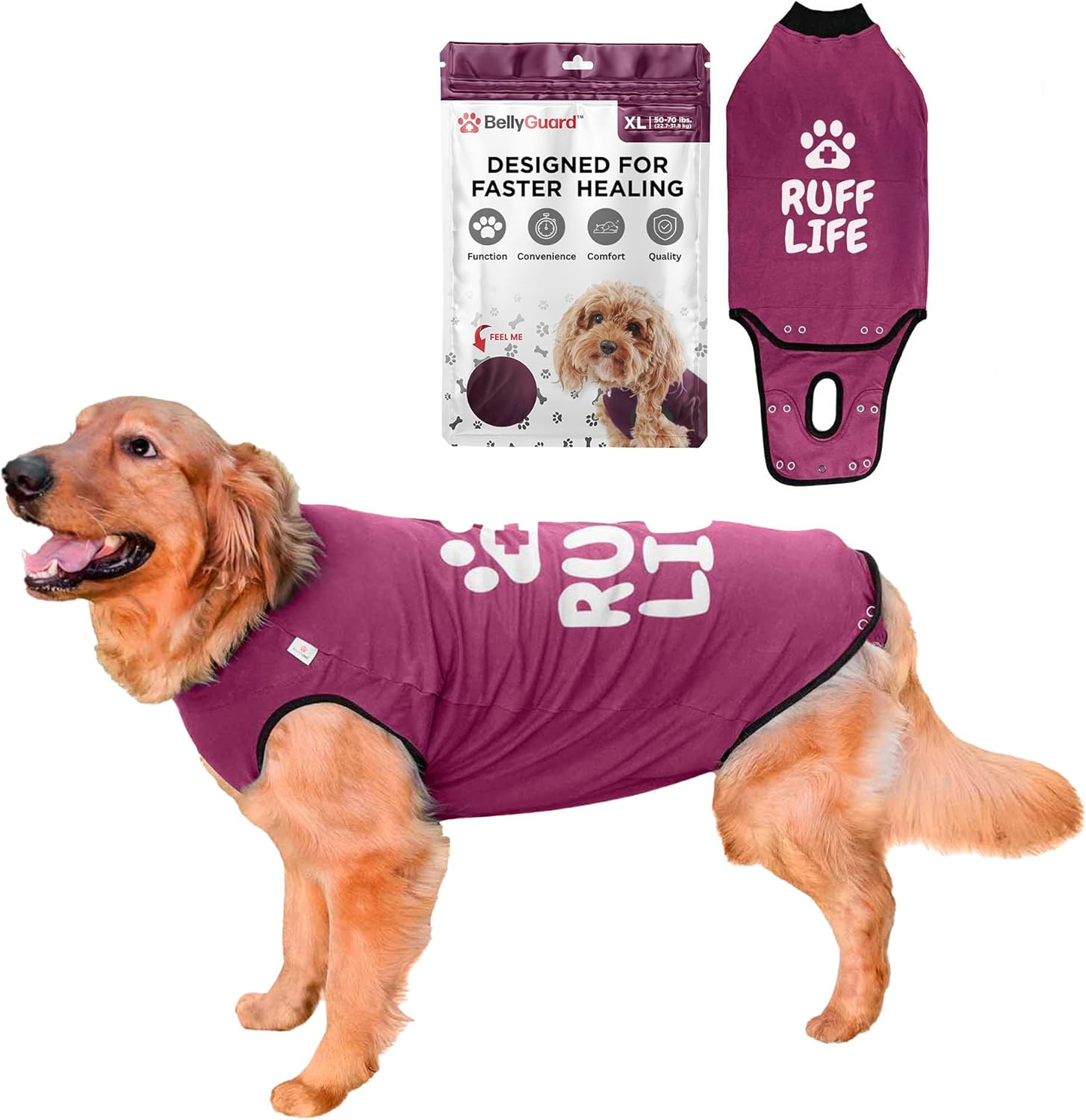 BellyGuard Recovery Suit for Dogs: Comfy Post-Op Care Solution