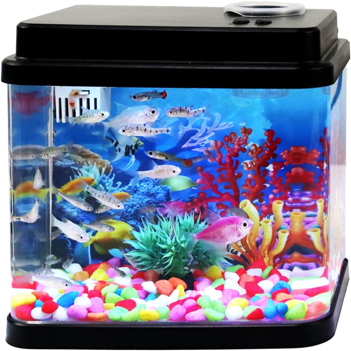 Mini Aquarium with 6-Color LED Lighting and 3-in-1 Pump System