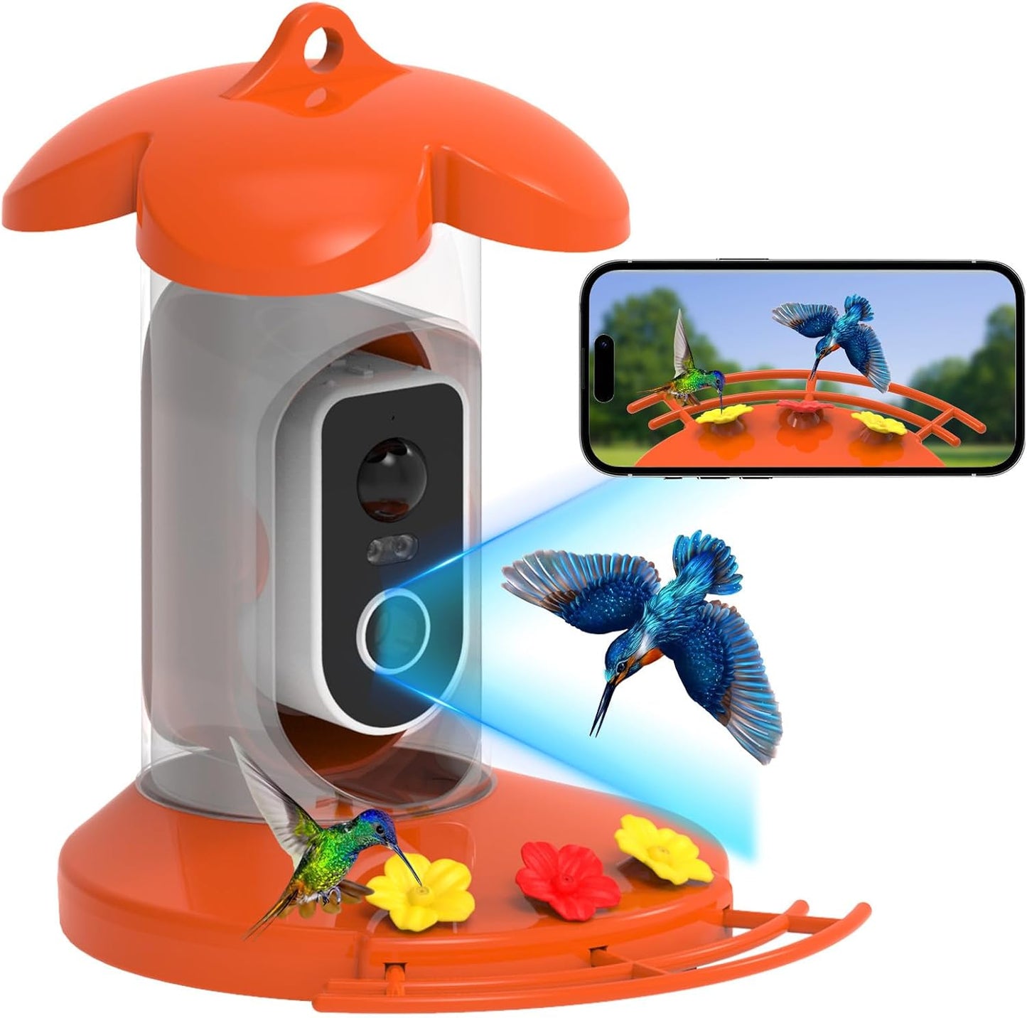 Hummingbird Feeder with Camera for Outdoor Birdwatching Fun