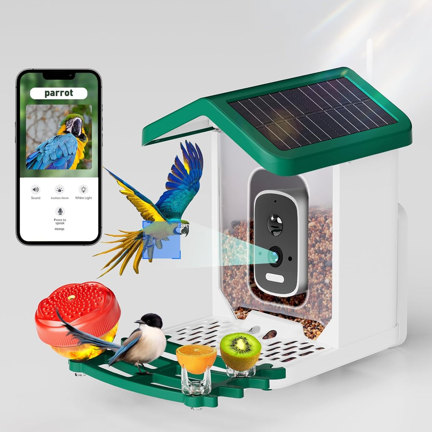 Smart Bird Feeder with 2.5K HD Camera & AI Species ID