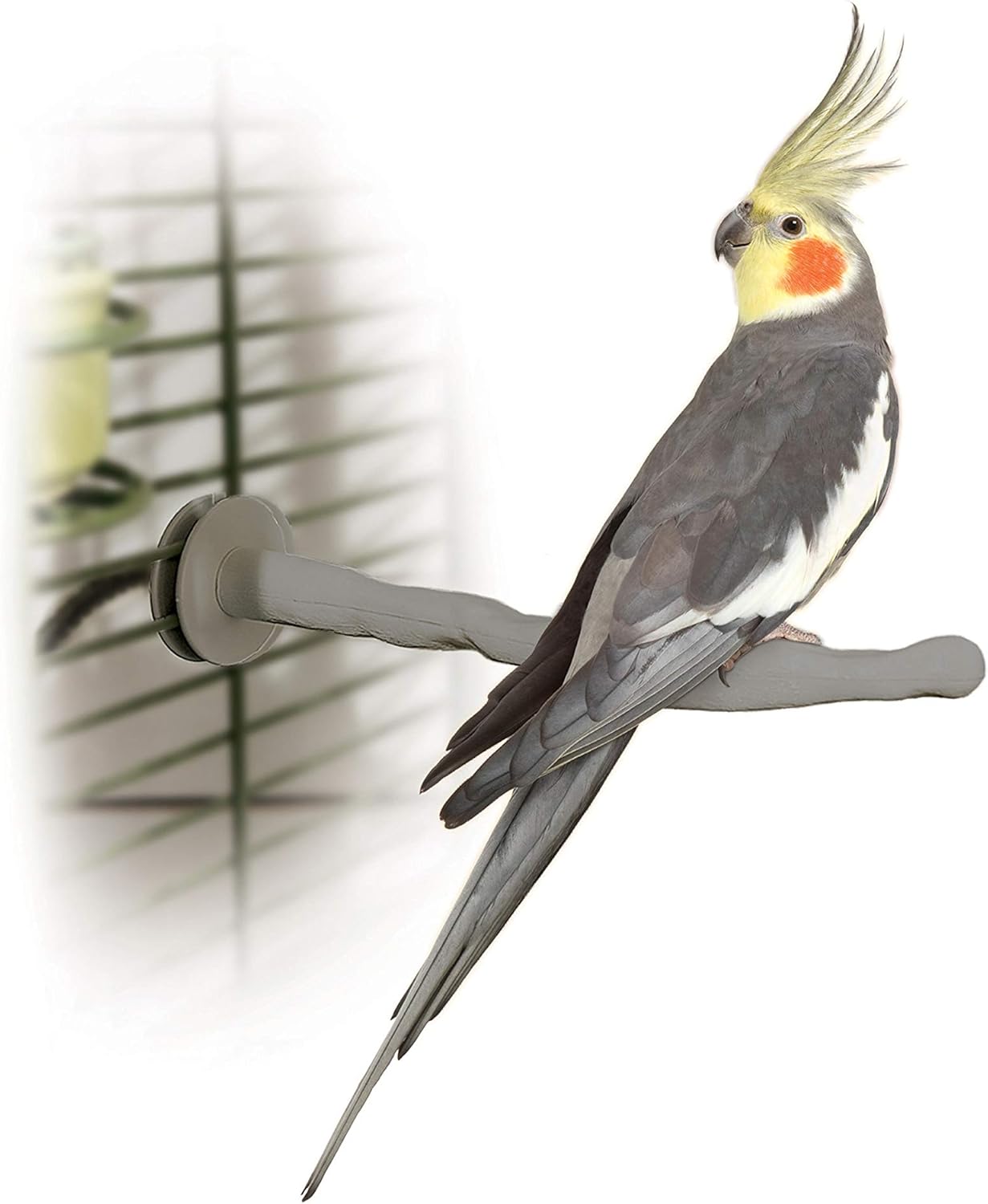 Thermo-Perch Heated Bird Cage Accessory