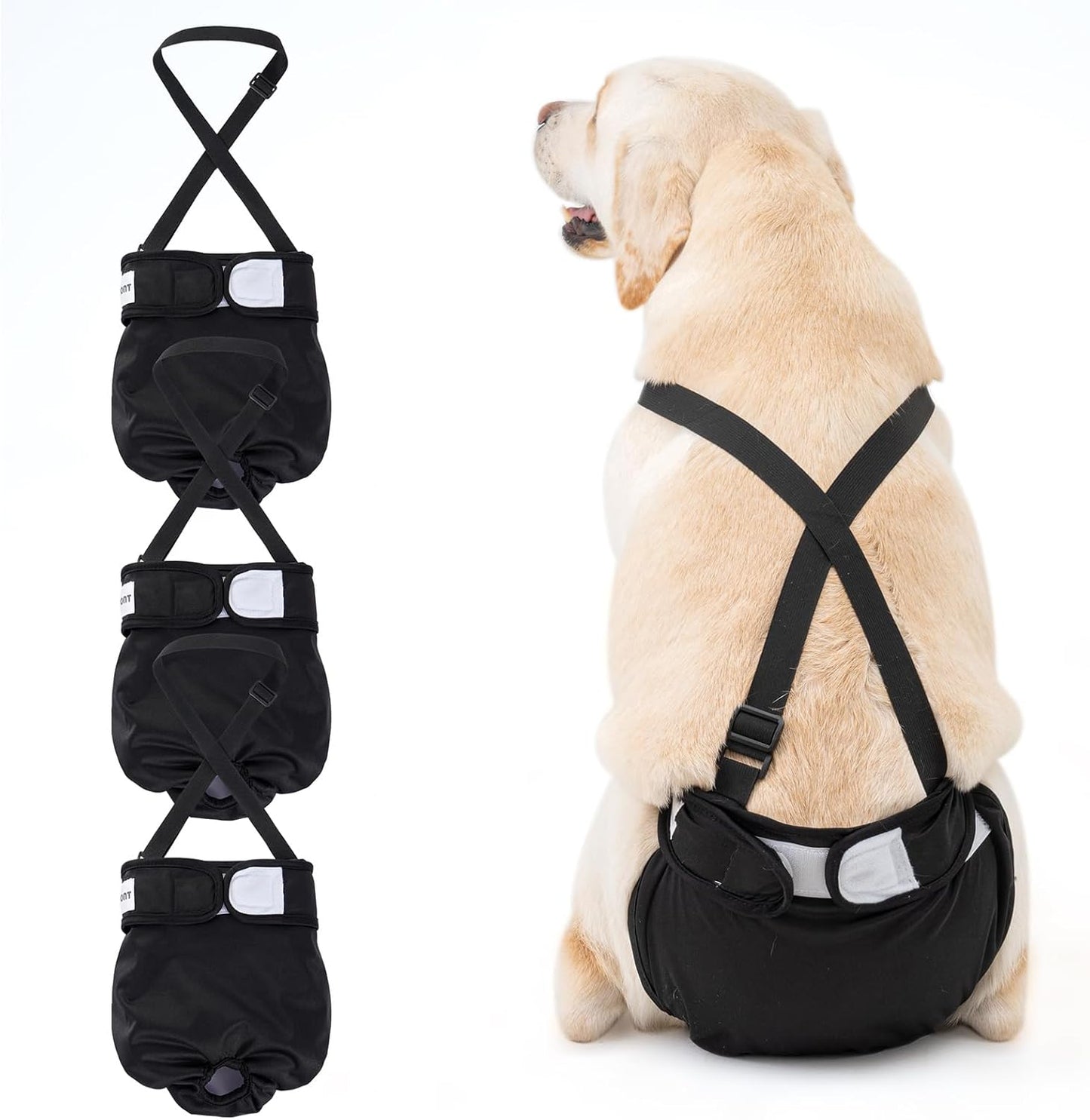 Stay Dry with Avont Washable Dog Diaper Set