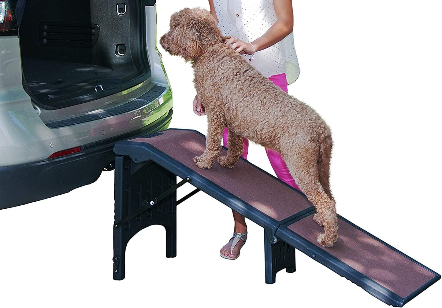 Pet Gear Free Standing Pet Ramp for Cats and Dogs, Easy Fold