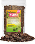 Premium Nolina Plant Soil Mix - Nourishing 5 Quart Potting Blend