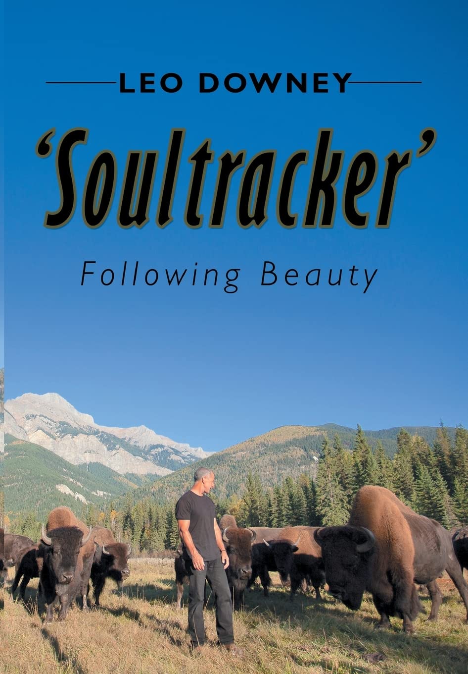 Soultracker: Following Beauty - A Journey of Self-Discovery