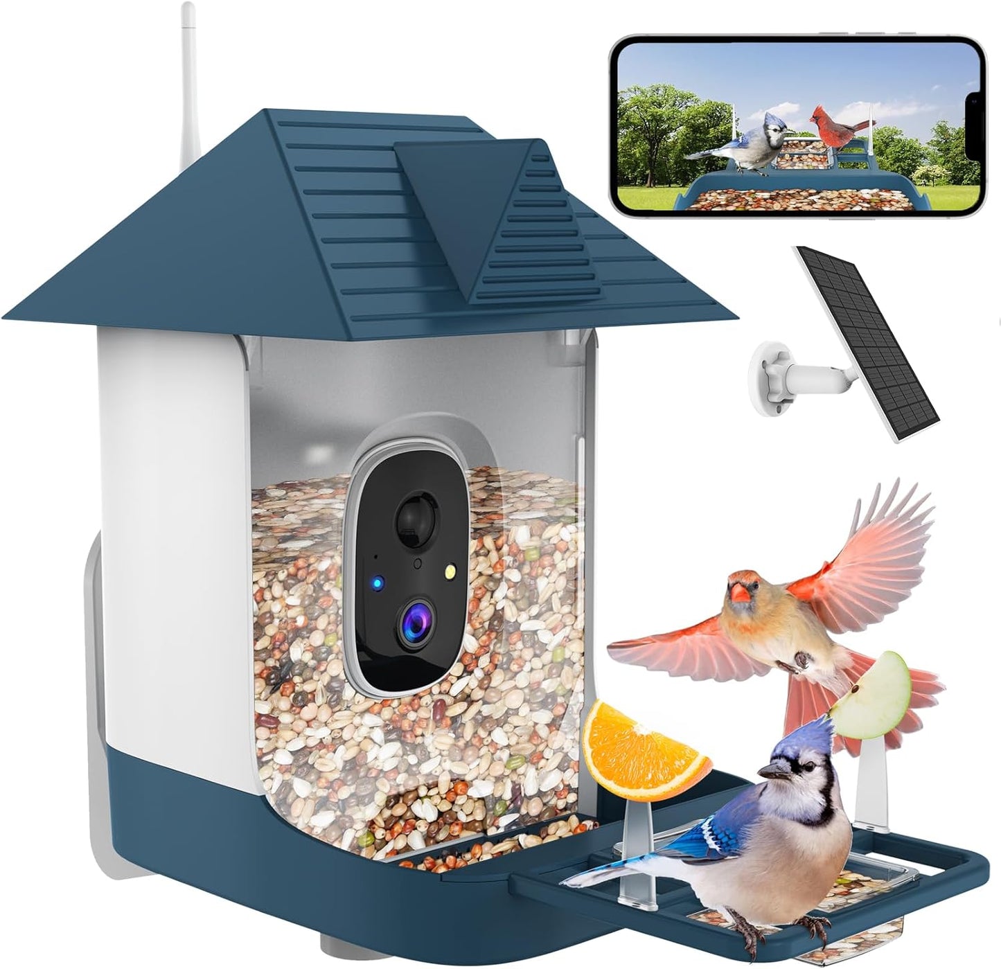 WiFi Bird Feeder Cam with AI Identify - FHD Video, Solar Powered