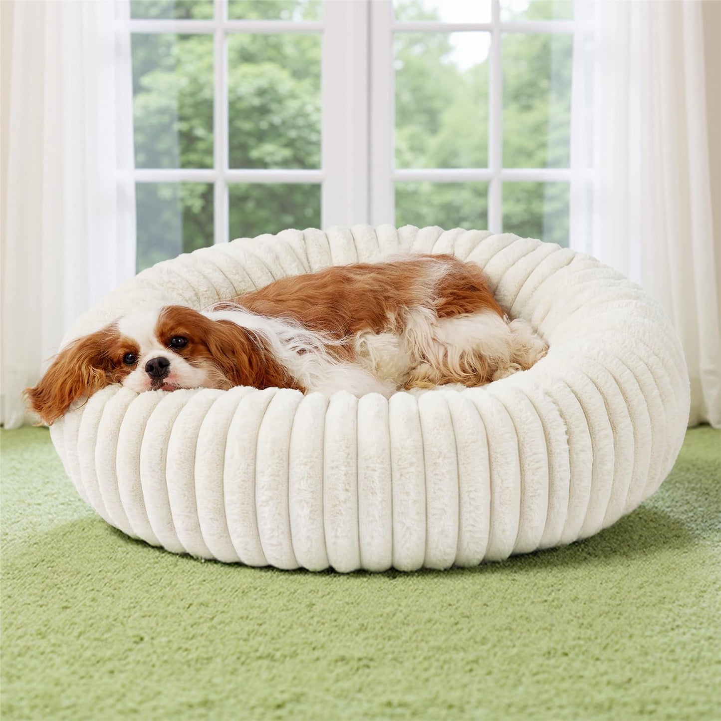 Bedsure Donut Medium Dog Bed - Cozy Faux Fur Pet Oasis