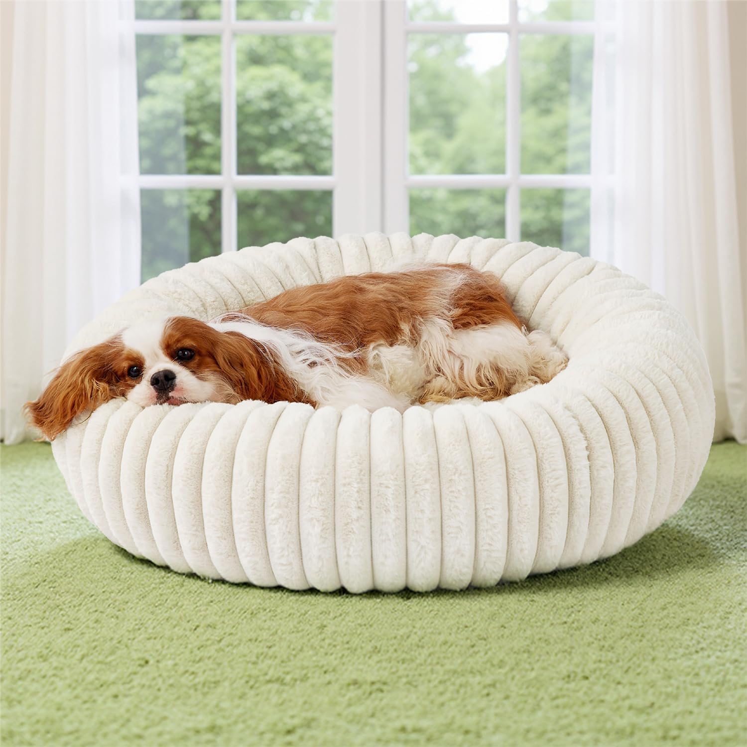 Bedsure Donut Medium Dog Bed - Cozy Faux Fur Pet Oasis
