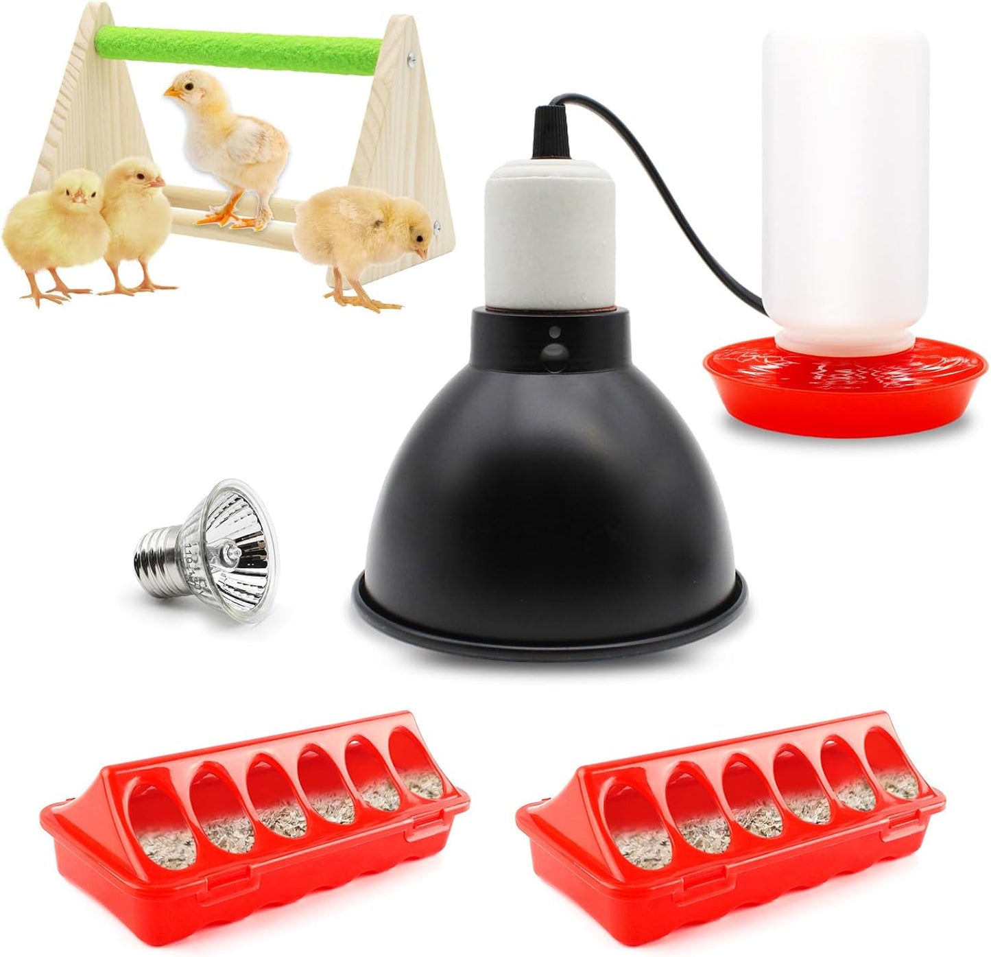 Complete Chick Care Kit with Heat Lamp