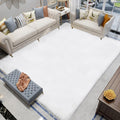 White Fluffy Faux Fur Rug 6x9 - Machine Washable Plush Area Rug