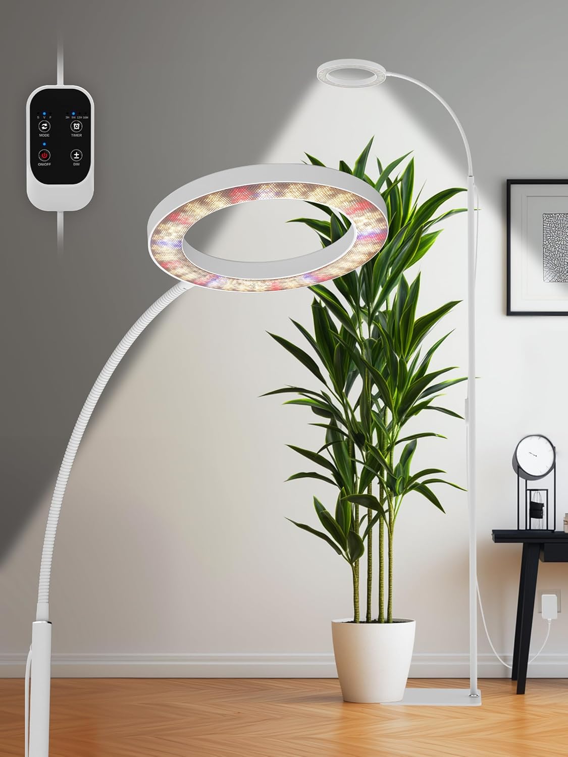 GLOWRIUM Grow Lights for Indoor Plants with Adjustable Height