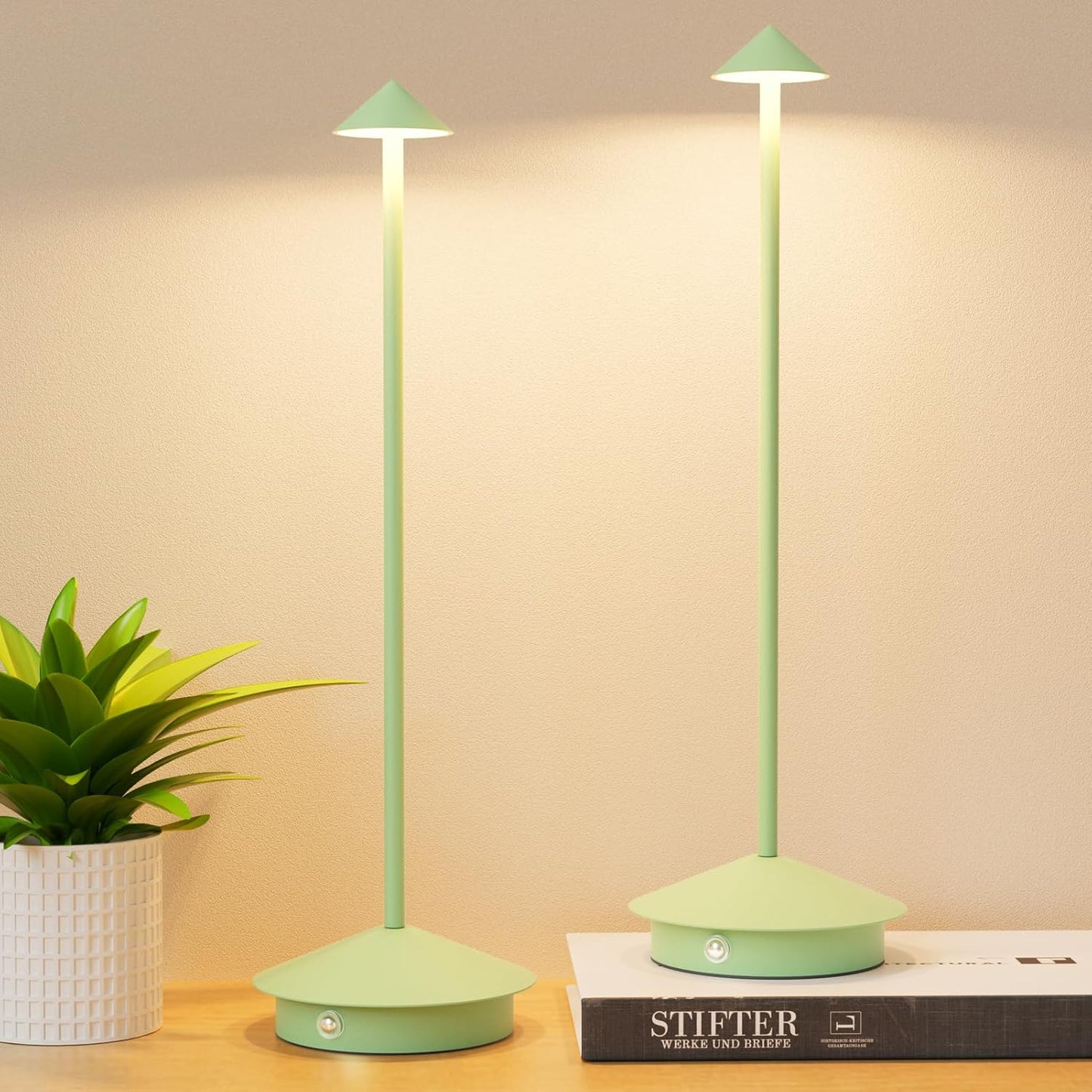 Rechargeable LED Table Lamp with Stepless Dimming and Memory