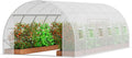 Walk-in Tunnel Greenhouse 19.4x9.7x6.5 ft - Sturdy Hoop House