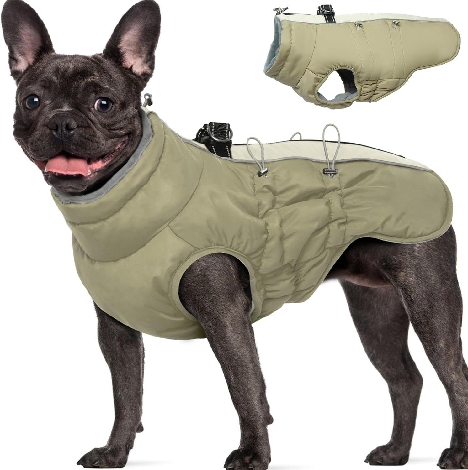 Dog Winter Jacket - Large, Warm Snowsuit for Outdoor Activities