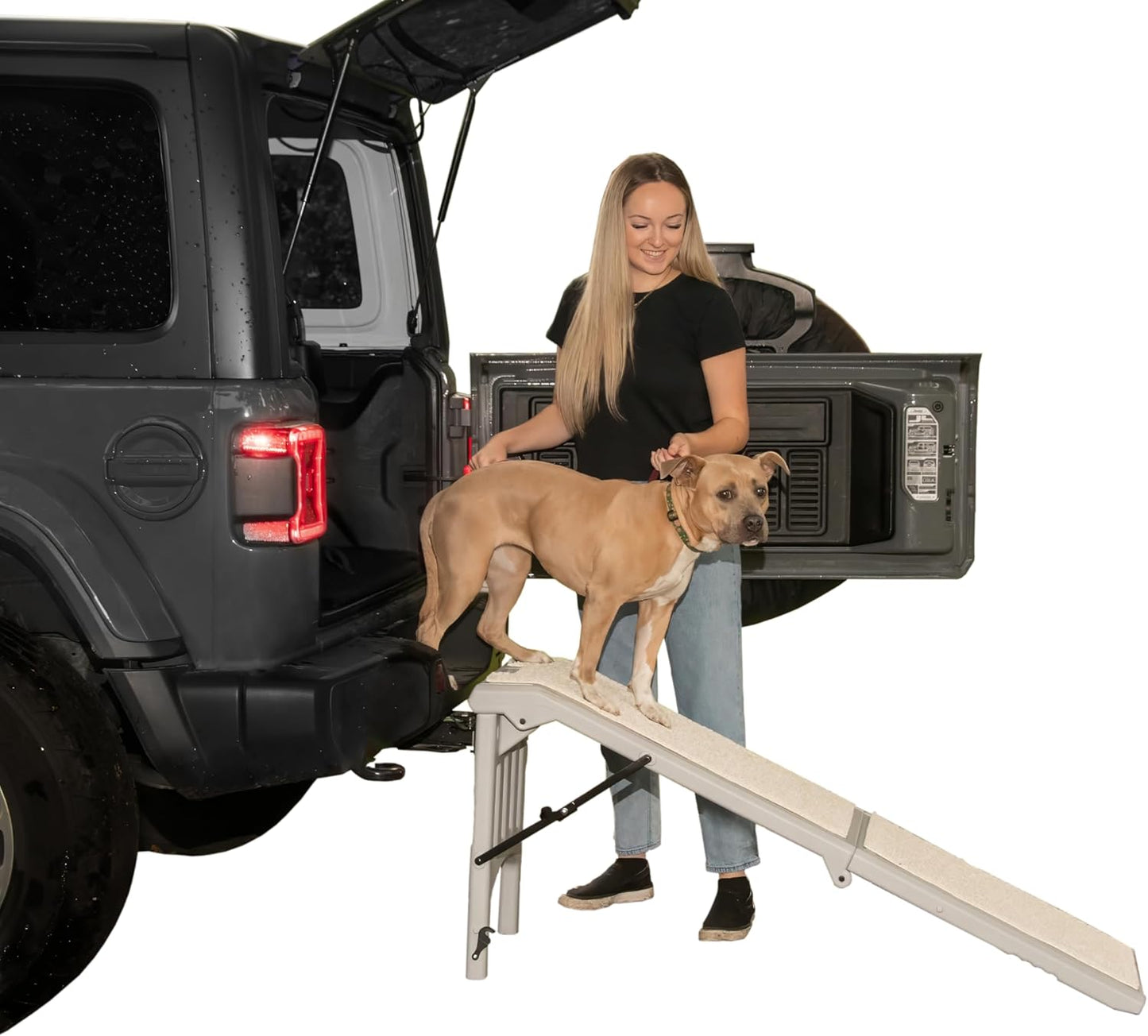Pet Gear Free Standing Pet Ramp for Cats and Dogs - Easy to Use