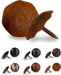25 Pack 1.25 in Round Head Iron Clavos Decorative Nails - Rusted Look