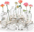 YOUEON 16 Pack Clear Glass Bud Vases for Home Decor and Events
