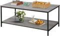SENIG 2-Tier Coffee Table with Storage Shelf - Compact Living Room
