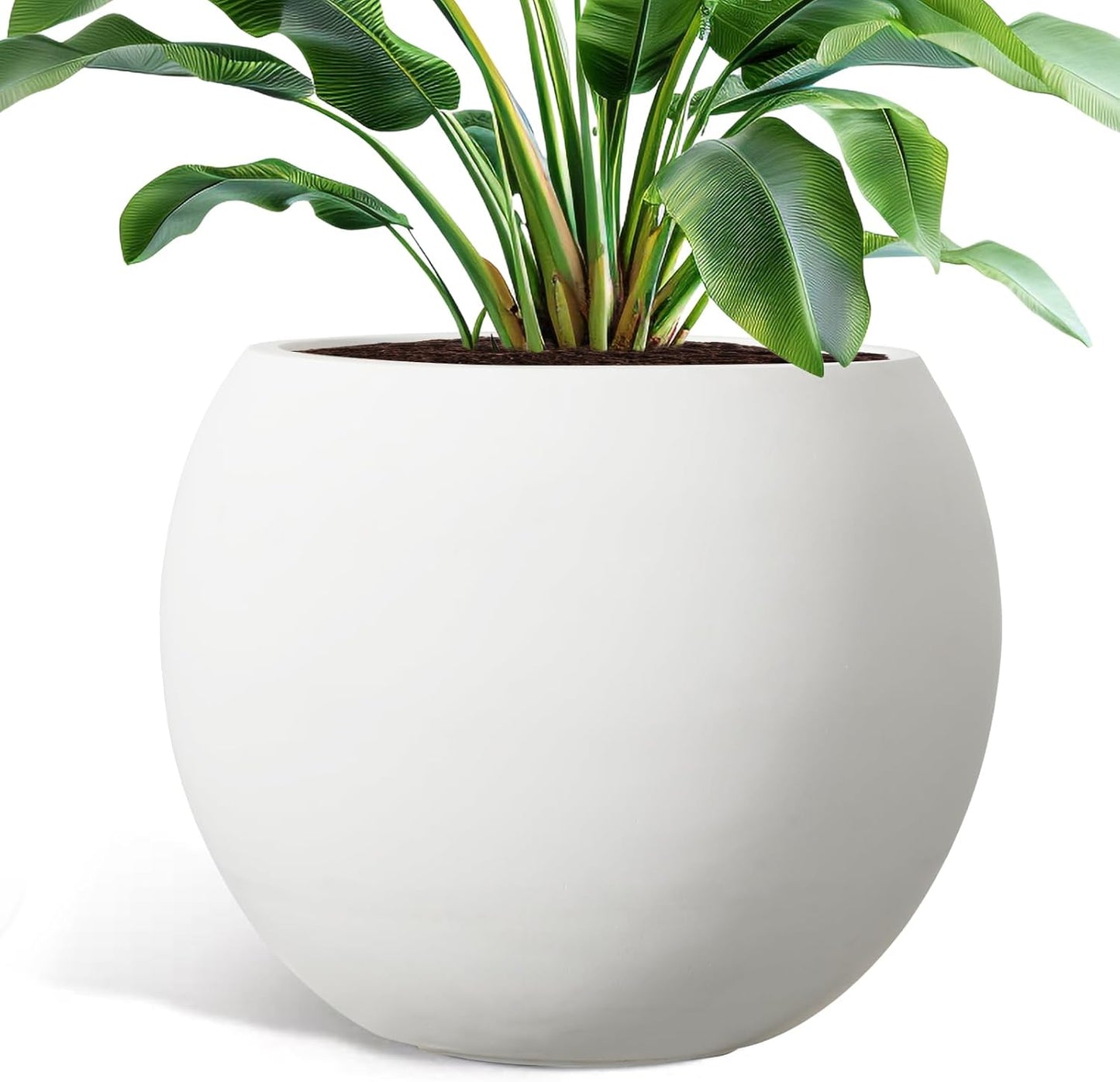 Large Round Planter for Indoor Outdoor Plants by YOLENY