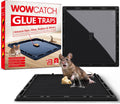 Jumbo Rat & Mouse Glue Traps - Large Heavy Duty Sticky Traps