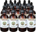 Huang Qin Alcohol-Free Liquid Extract - Concentrated Herbal