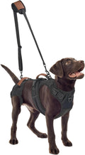 Dog Lift Harness Full Body Support for Senior and Disabled Dogs