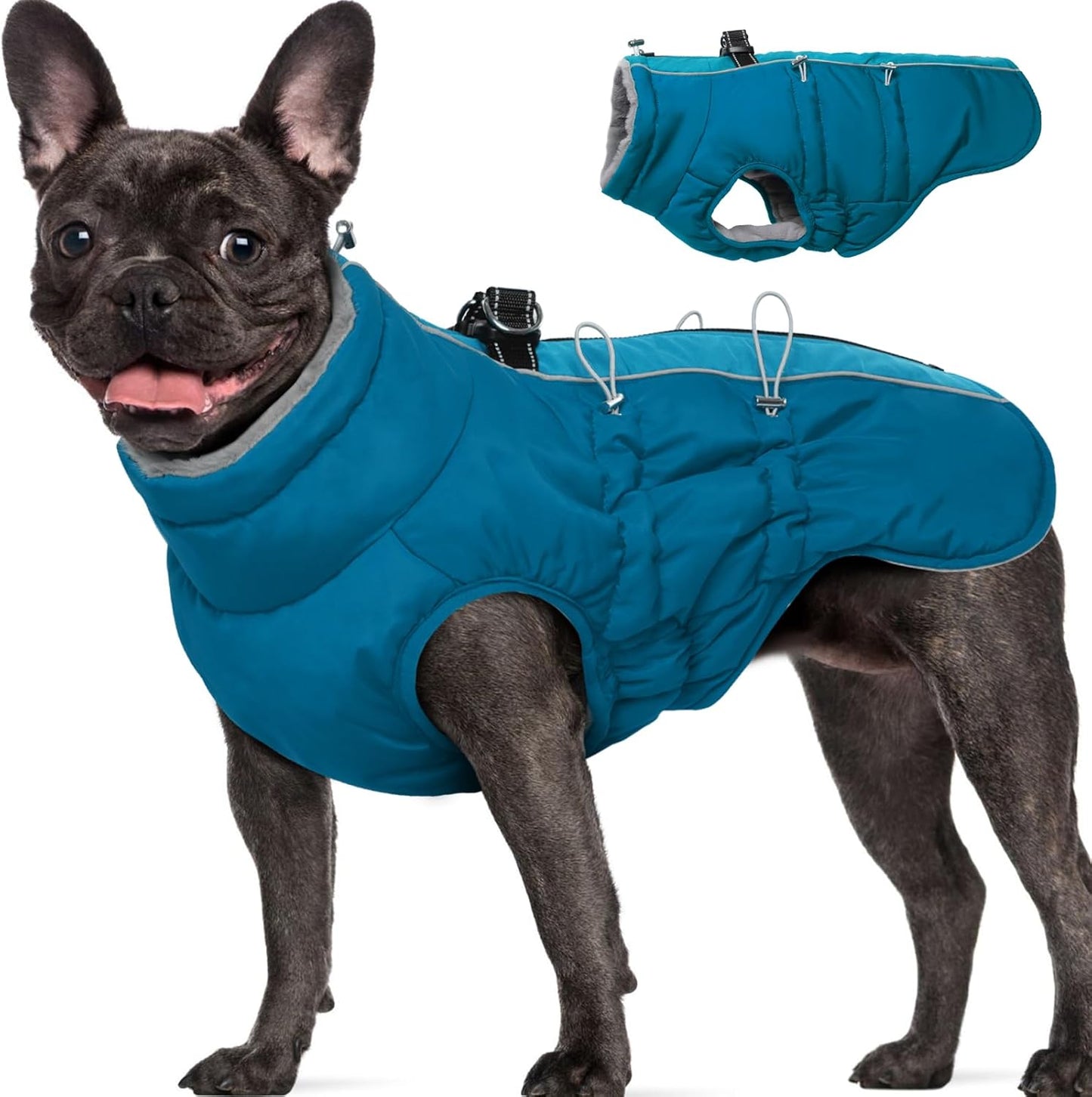 Dog Winter Jacket - Warm Zip Up Snowsuit for Large Dogs