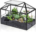 Glass Terrarium House Shape Planter - Modern Tabletop Display