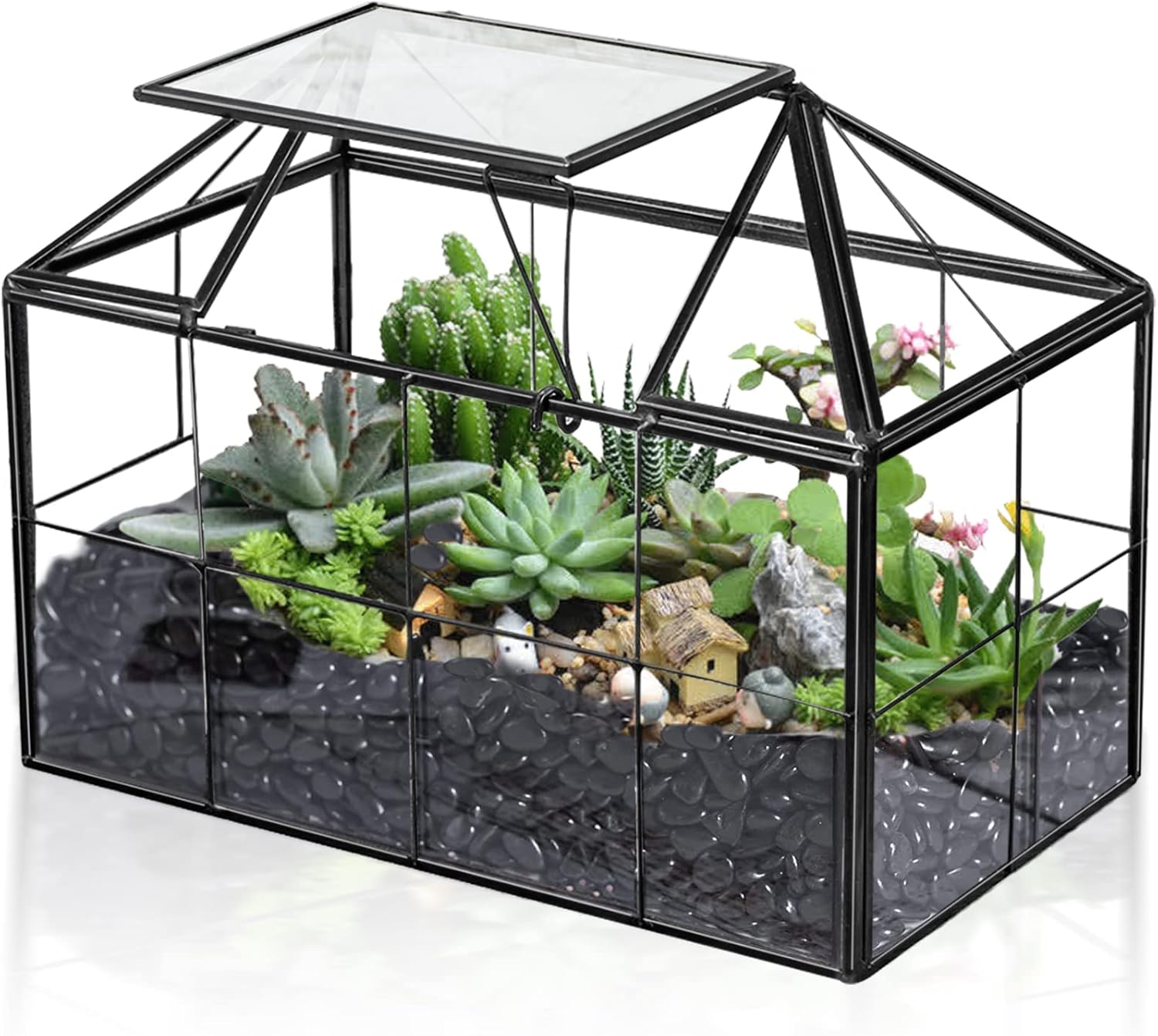 Ferrisland Glass Terrarium Greenhouse for Succulents Display
