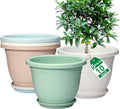 10 in Plant Pots 5-Pack with Saucer - Durable, Drainage Ready
