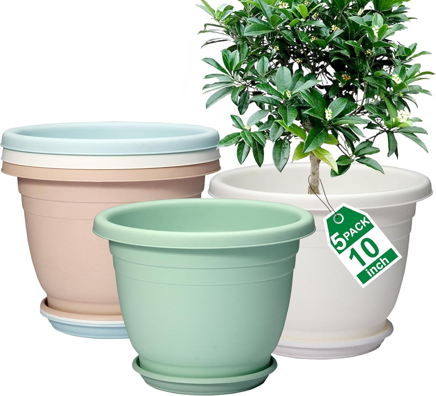 10 Inch Plant Pots with Saucer - 5 Pack for Indoor & Outdoor Use