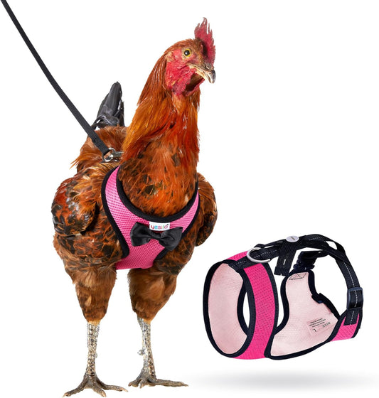 Yesito Chicken Harness Set | Adjustable & Comfortable | Pink
