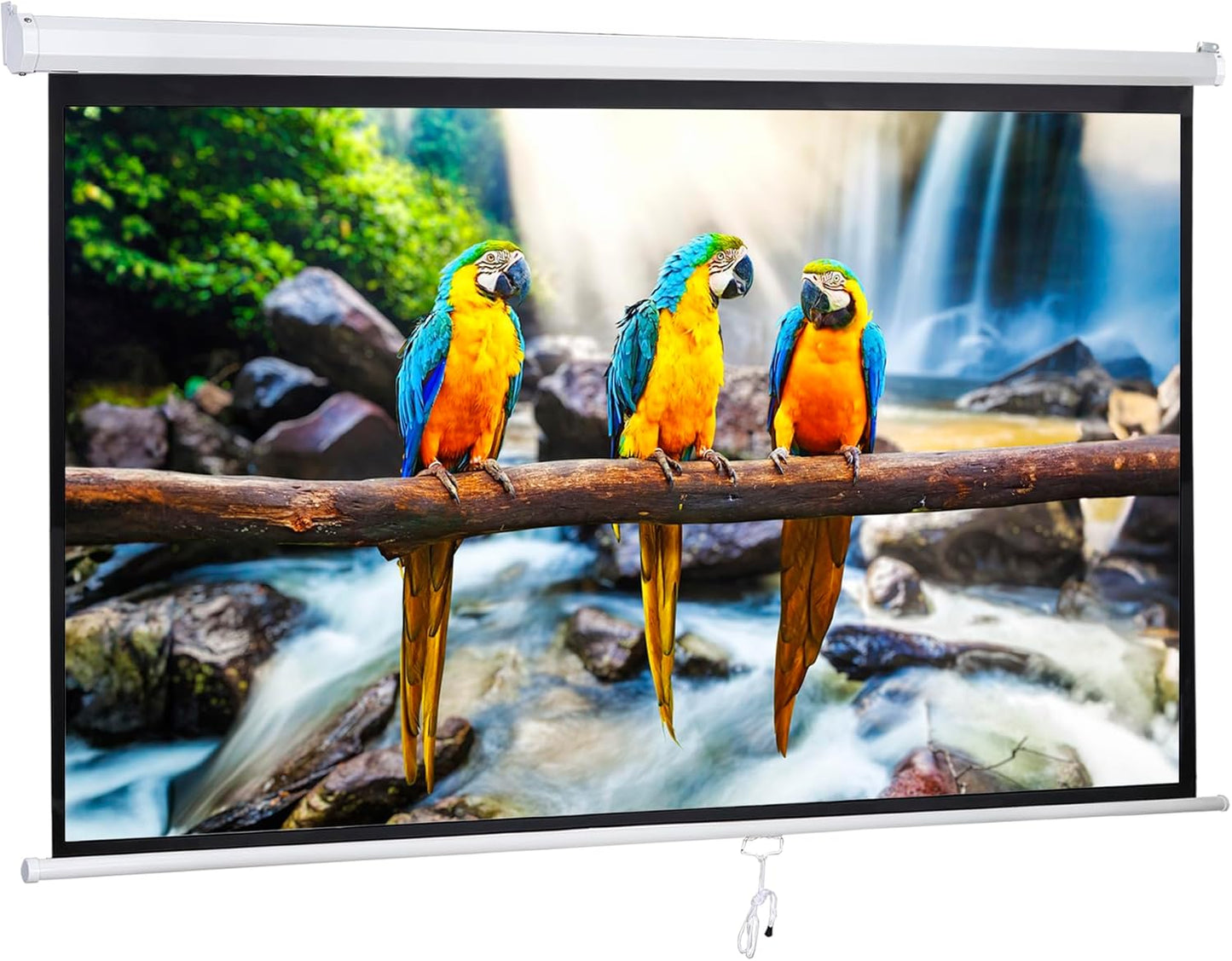 120 Inch Portable Manual Pull Down Projector Screen for Home