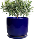 8 Inch Ceramic Plant Pot Blue - Decorative Round Planter for Indoors