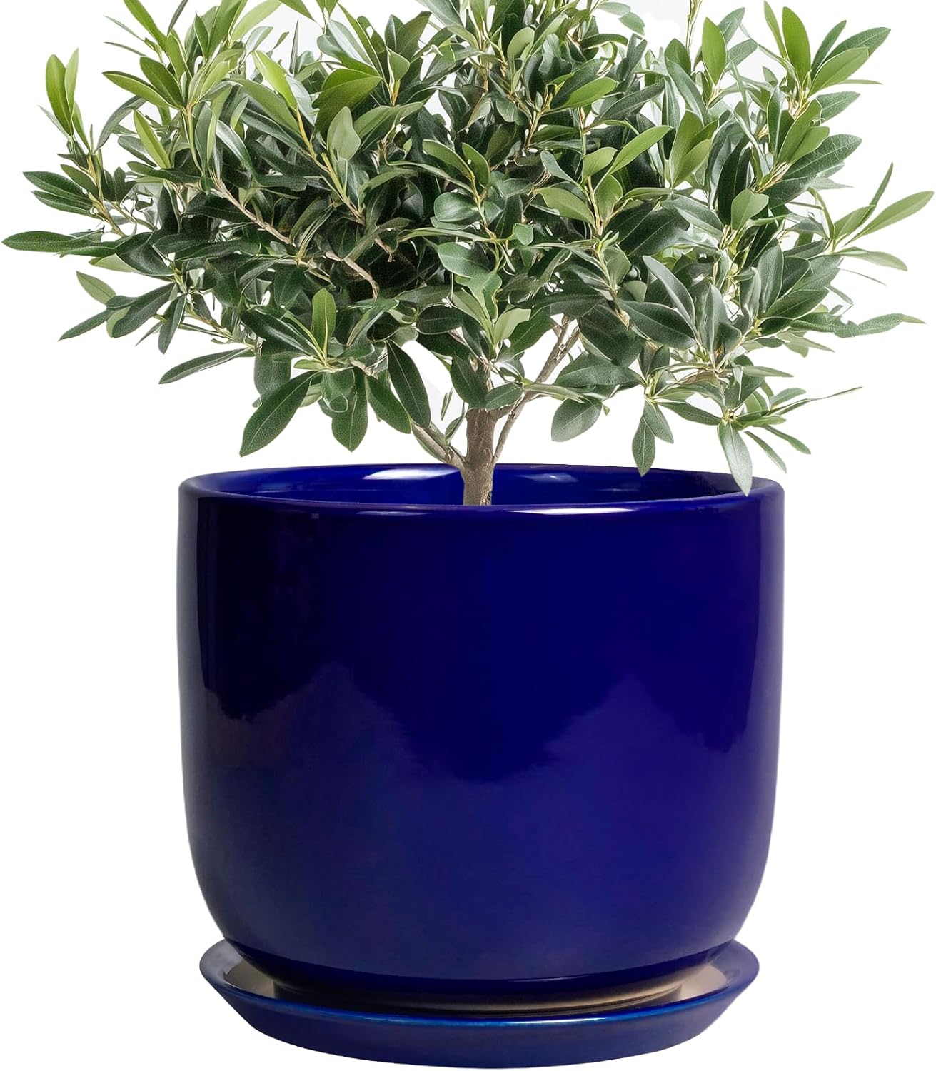 8 Inch Ceramic Plant Pot for Indoor Plants with Drainage Hole
