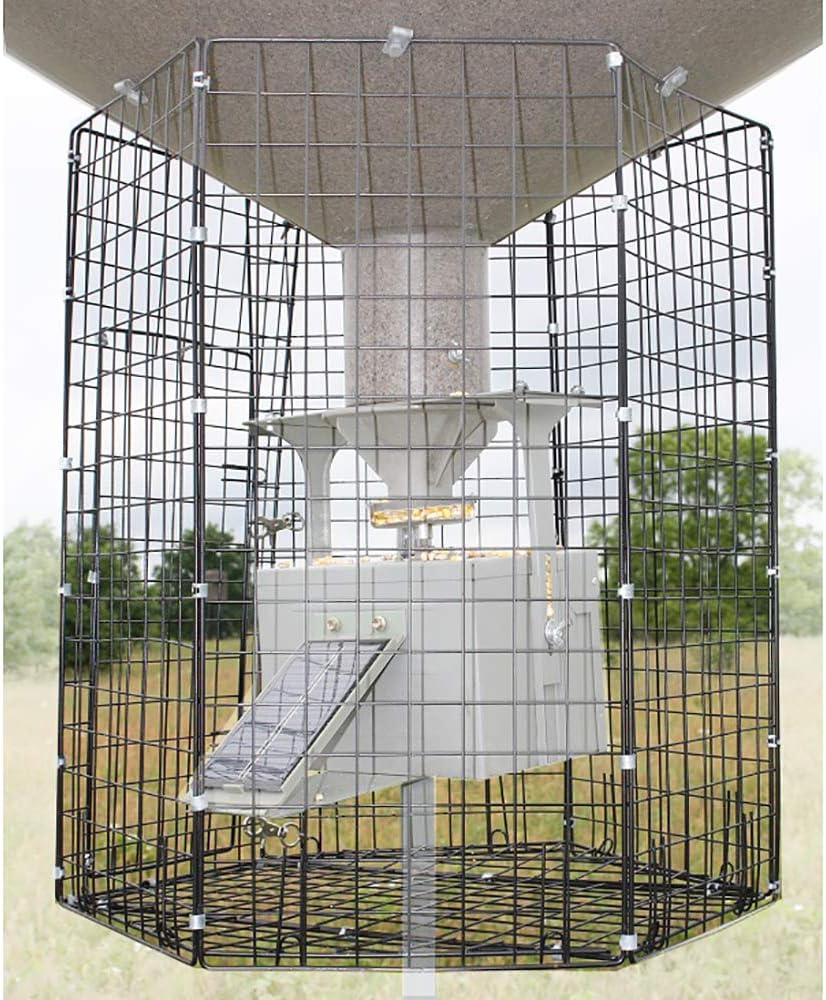 Boss Buck Varmint Cage for Feeders - Heavy Duty Steel Design
