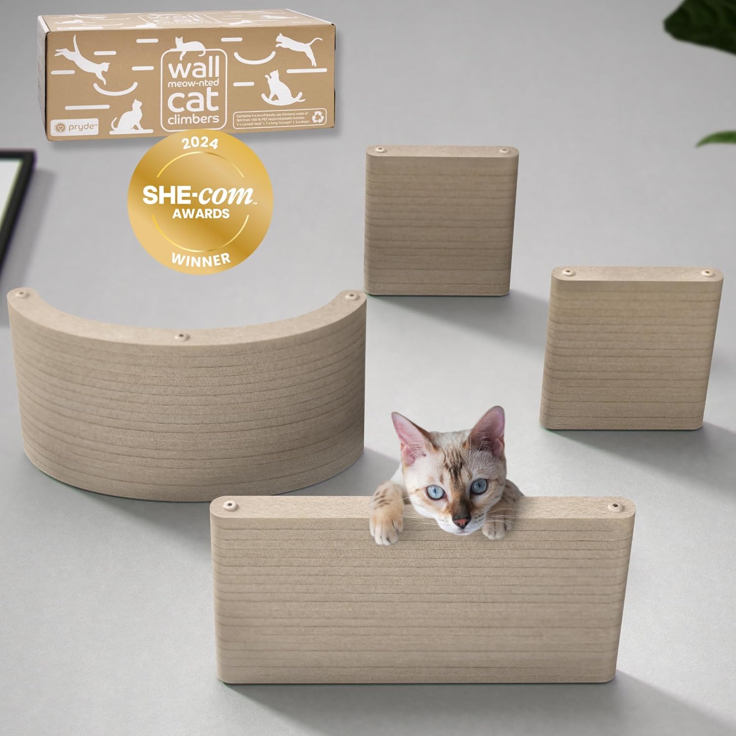 Wall Mounted Cat Shelves Set of 4 for Indoor Cats Climbing Gym
