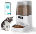 Cat Feeder Automatic - MeowServe S20 Smart Pet Food Dispenser