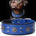 Premium Leather Dog Collar for Large Dogs - Heavy Duty Comfort