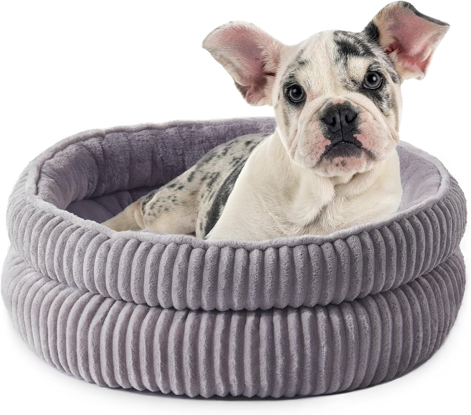 Cozy Dog Beds for Small Dogs - Plush Round Cat Beds Indoor