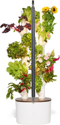 Hydroponic Studio Growing System Kit - Compact Smart Herb Garden