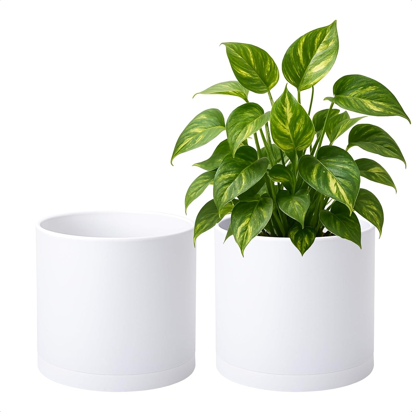 D'vine Dev 2 Pack 8 Inch Modern Plastic Plant Pots for Your Home