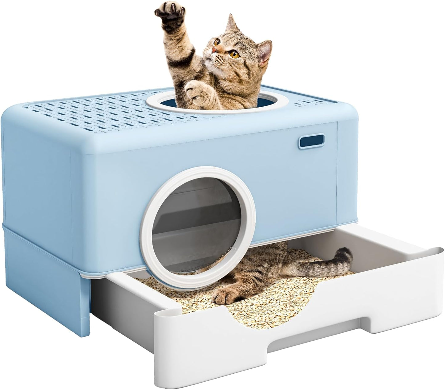 DWVO Enclosed Cat Litter Box with Two-Way Entry for Cats