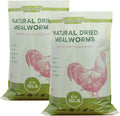 20 LB Dried Mealworms for Chickens - High Protein Treats