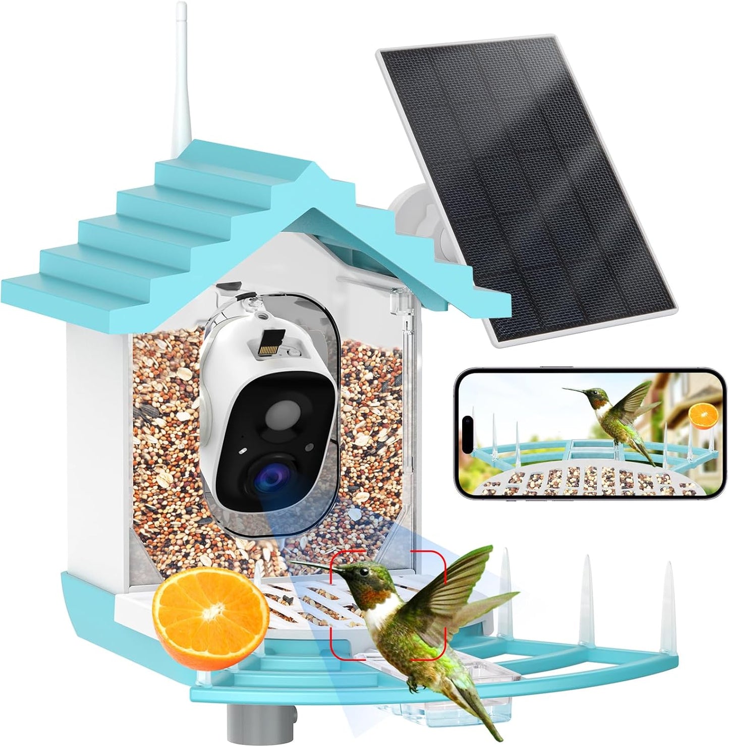 1080P HD Smart Bird Feeder: Auto Recognition & Night Vision