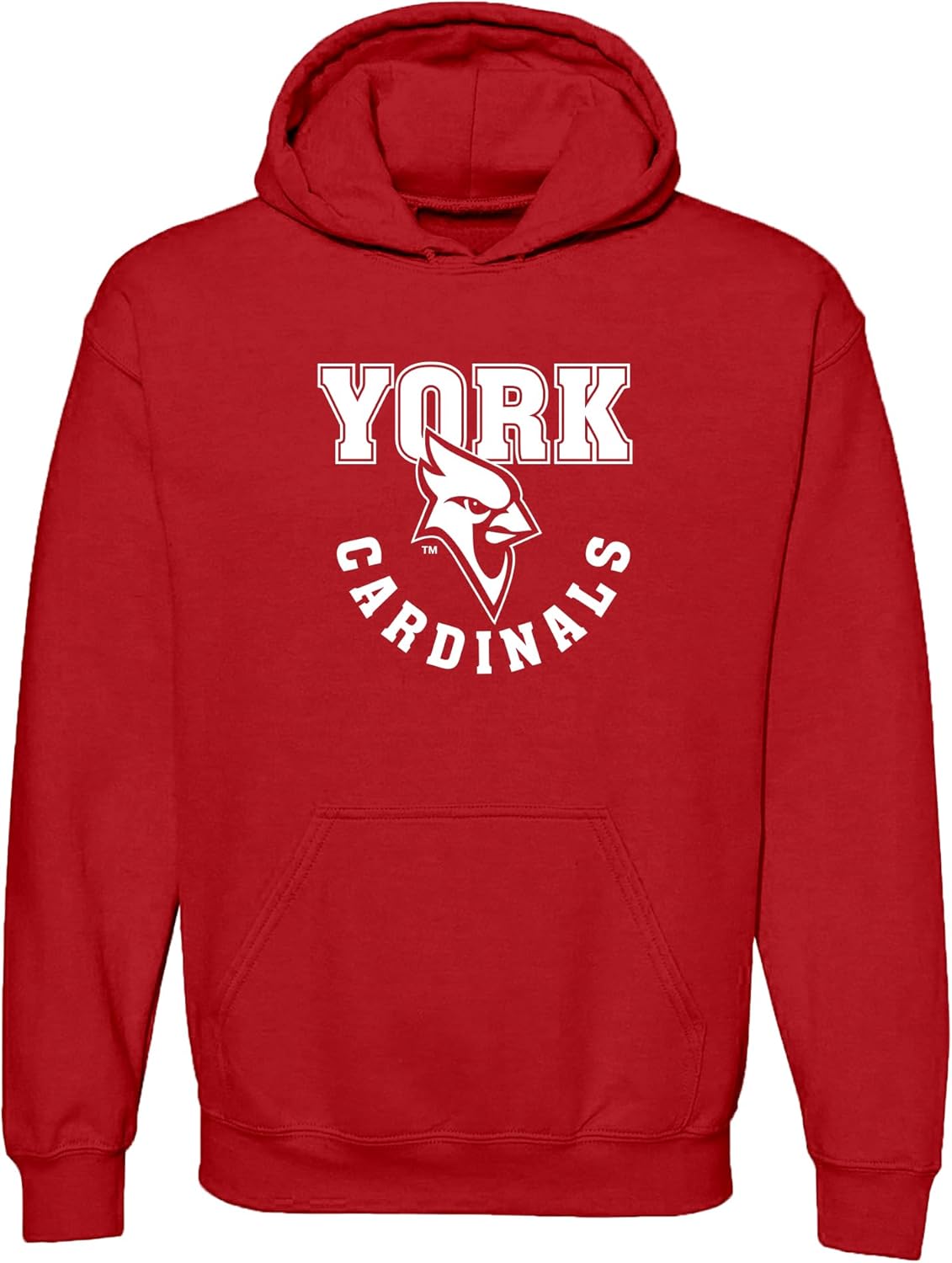 NCAA Officially Licensed College Team Color Arch Logo Hoodie