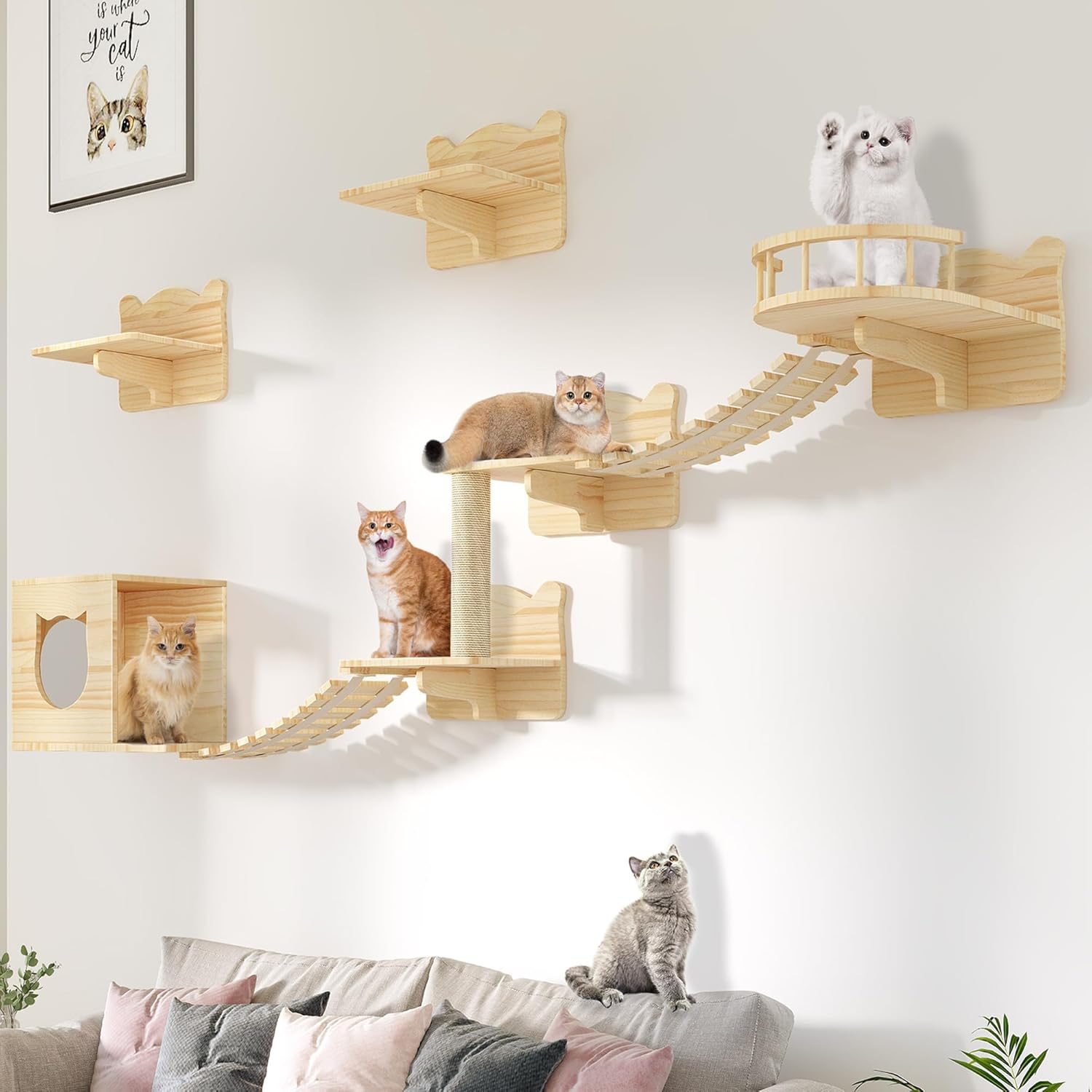 Cat Wall Shelves for Felines - Stylish 9 Piece Wooden Set