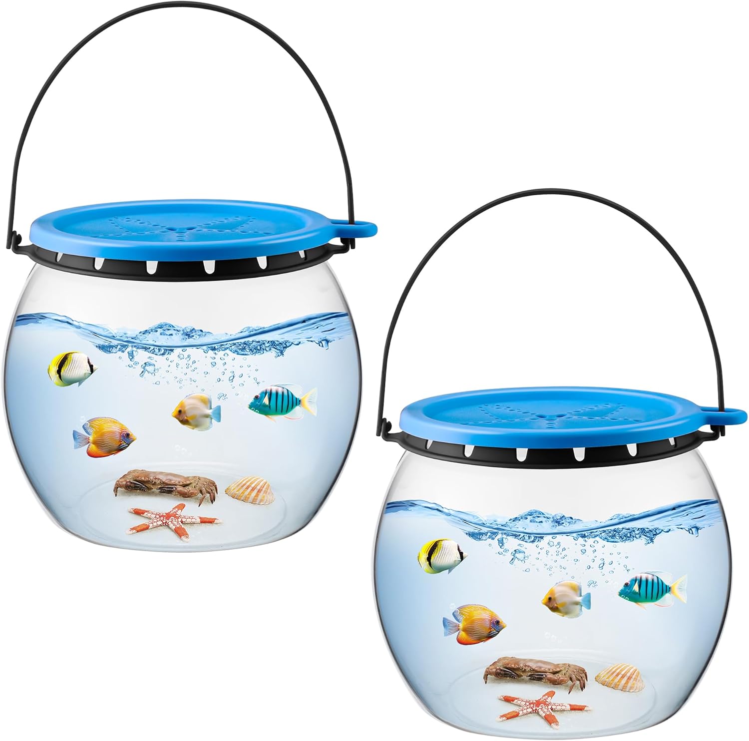 Catch and Release Beach Aquarium Kit for Kids' Marine Exploration